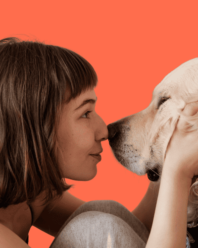 Imagem de uma moça encostando o nariz no nariz do pet labrador